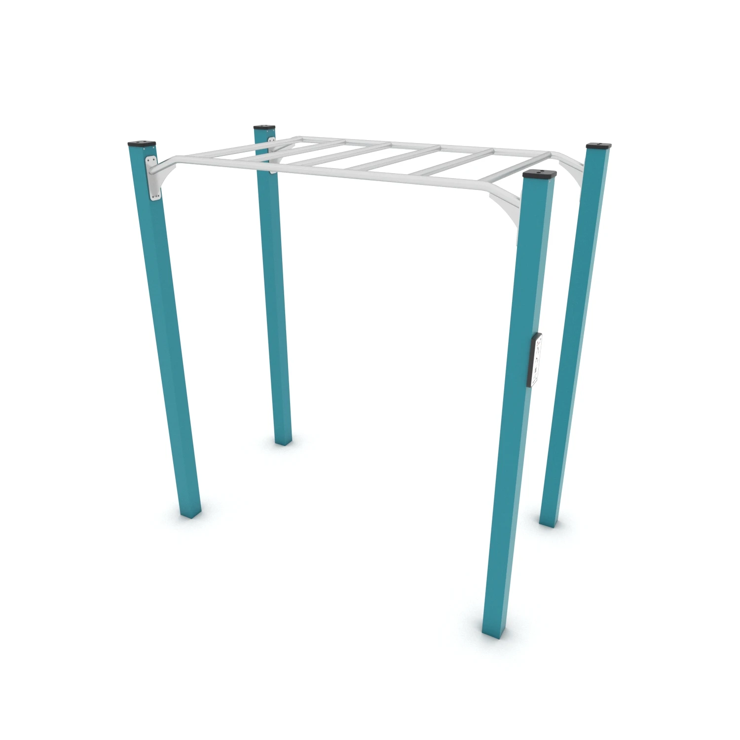 Calisthenics Hangelleiter I