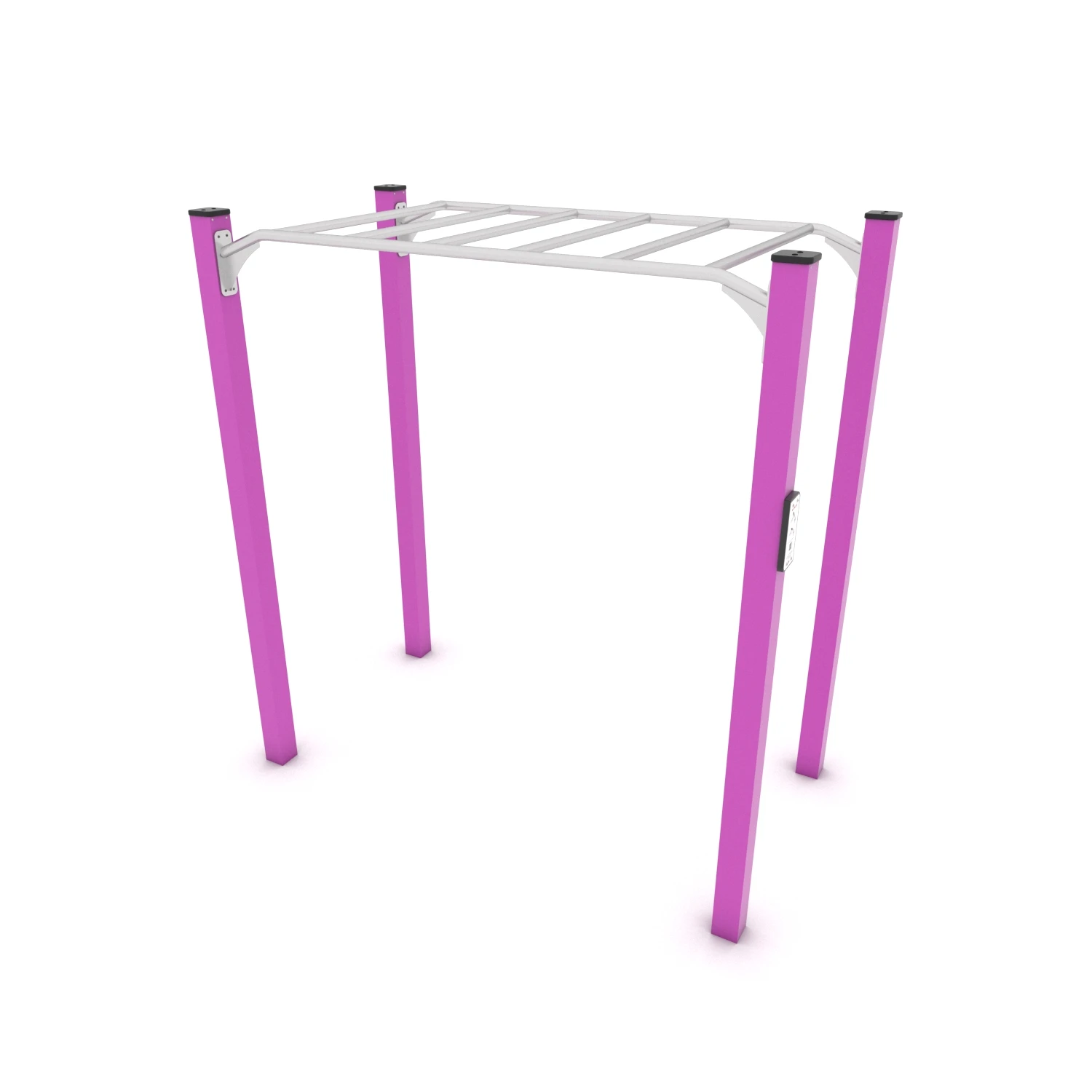 Calisthenics Hangelleiter I