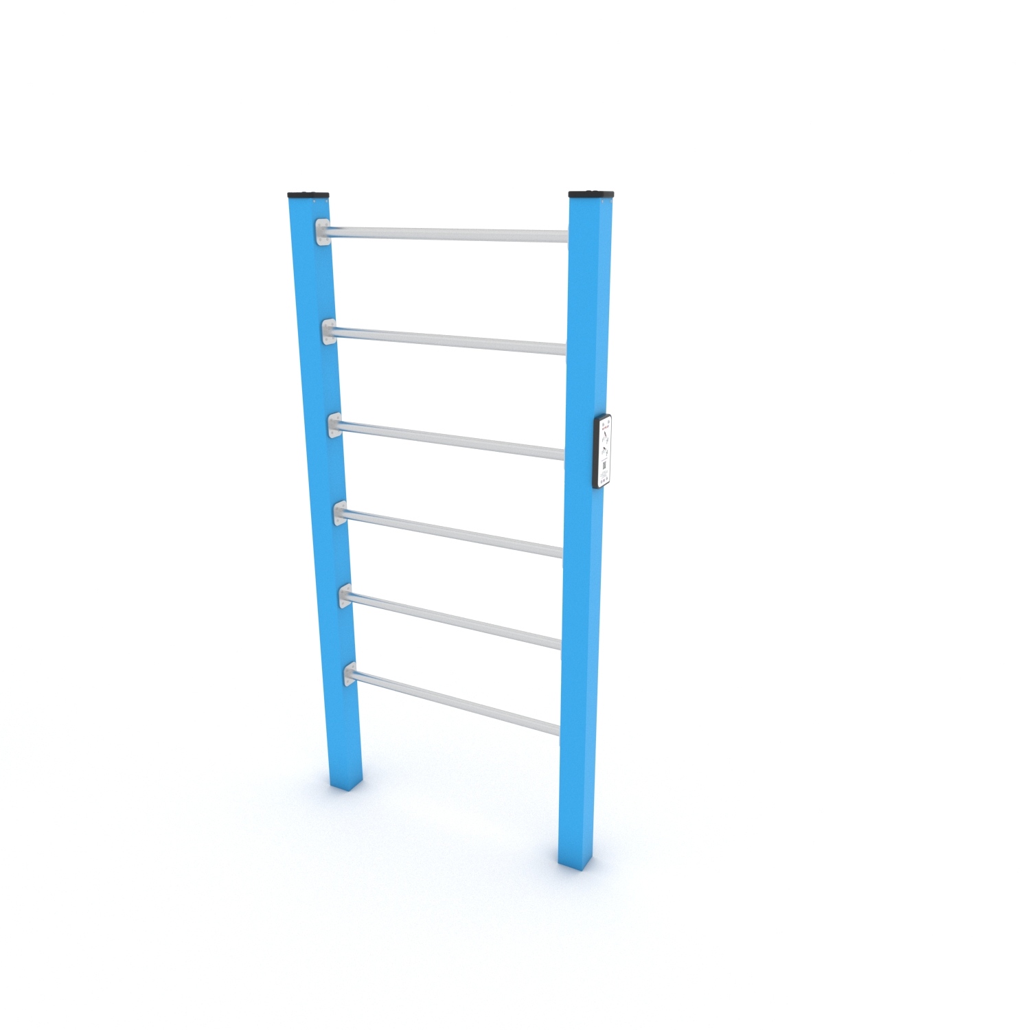 Calisthenics Sprossenwand