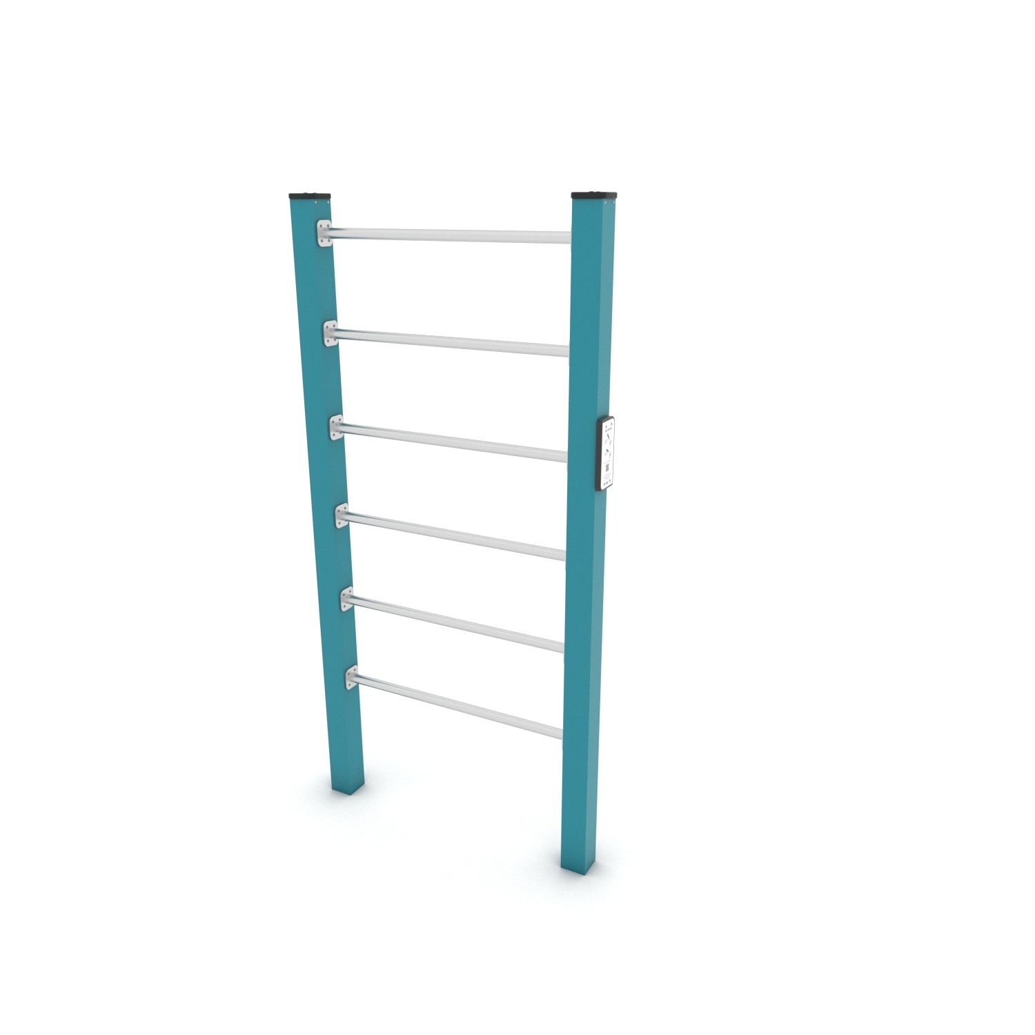 Calisthenics Sprossenwand