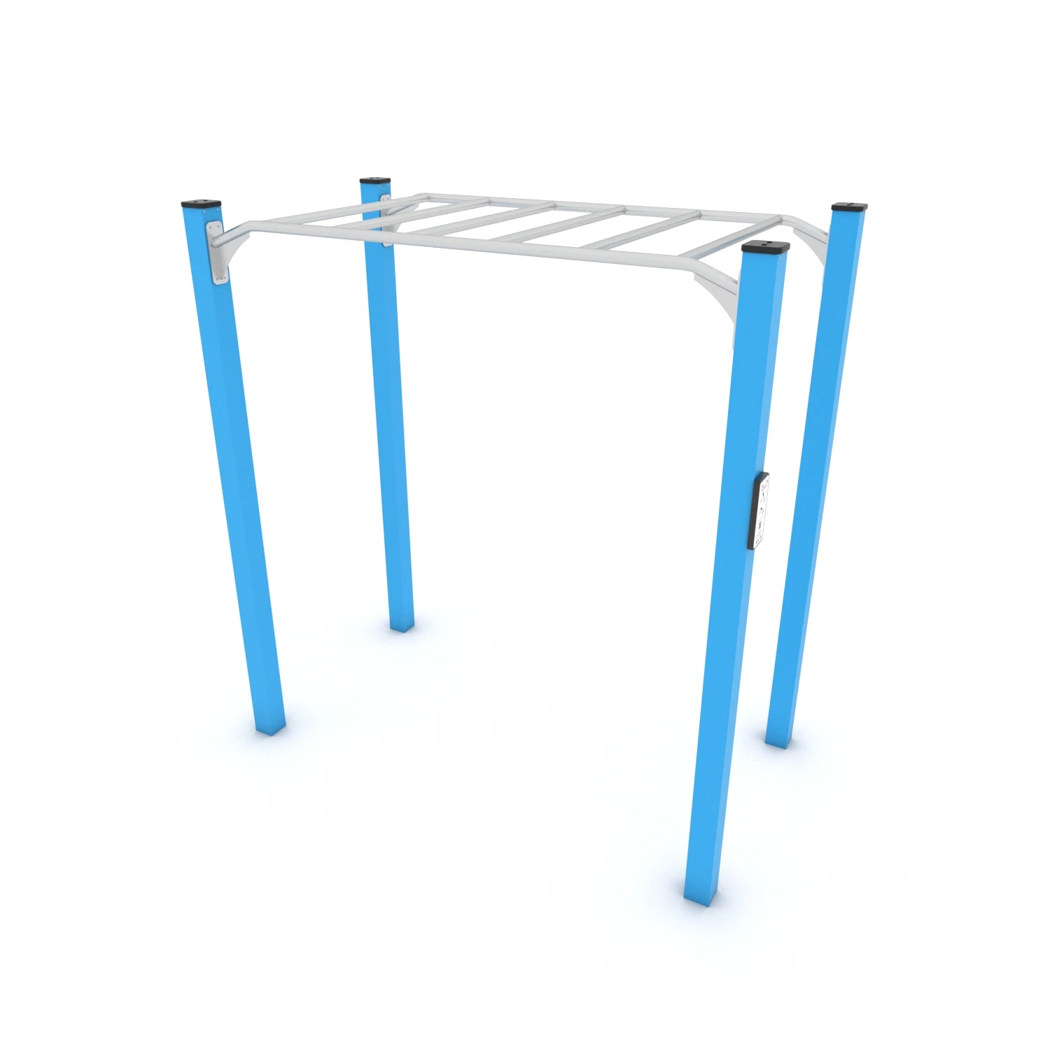 Calisthenics Hangelleiter I