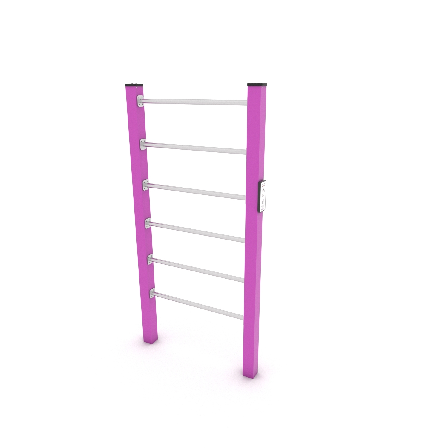 Calisthenics Sprossenwand